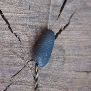 Under Carp Siatka Pva Tunel+Ubijak 25mm 7m Under Carp UC530 - obrazek 5