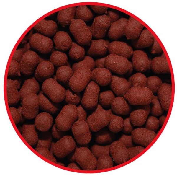 product-13158-image-68310