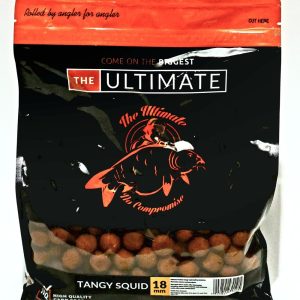 TANGY SQUID BOILIES 24 mm 1KG - obrazek 1
