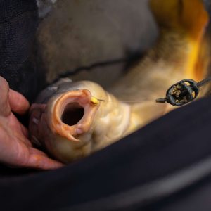 Sonubaits Band'Um Wafters 6mm Krill & Squid 45gr Waftersy Sonubaits S1810065 - obrazek 33