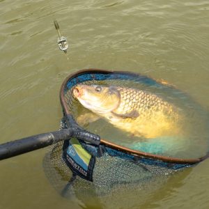 Stopery PRESTON Stopz - Large - obrazek 13